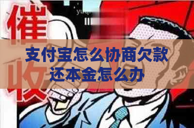 支付宝怎么协商欠款还本金怎么办