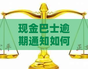 现金巴士逾期通知如何处理