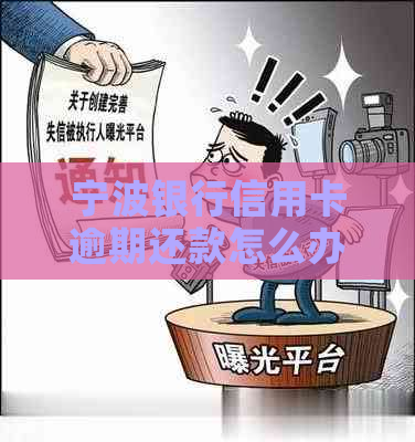 宁波银行信用卡逾期还款怎么办