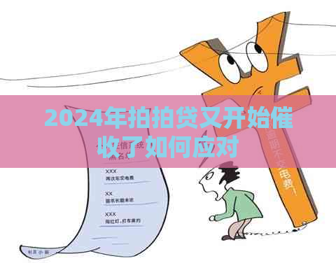 2024年又开始了如何应对