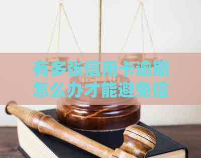 有多张信用卡逾期怎么办才能避免信用记录受损