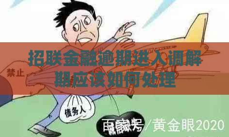 招联金融逾期进入调解期应该如何处理