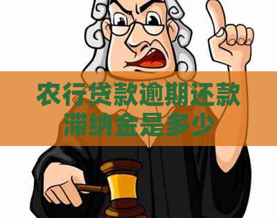 农行贷款逾期还款滞纳金是多少