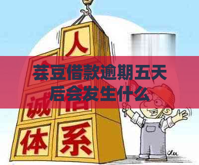 芸豆借款逾期五天后会发生什么