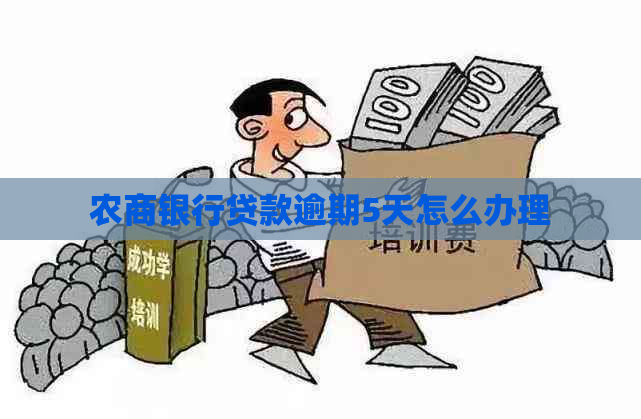 农商银行贷款逾期5天怎么办理