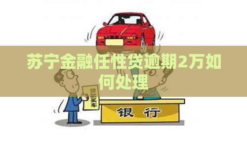 苏宁金融任性贷逾期2万如何处理