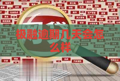 极融逾期几天会怎么样