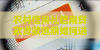 农村信用社信用贷款贷款逾期如何进行法务协商