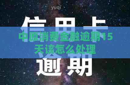 中原消费金融逾期15天该怎么处理