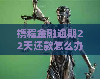 携程金融逾期22天还款怎么办