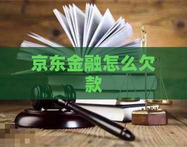 京东金融怎么欠款