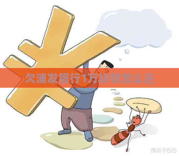 欠浦发银行1万块钱怎么还