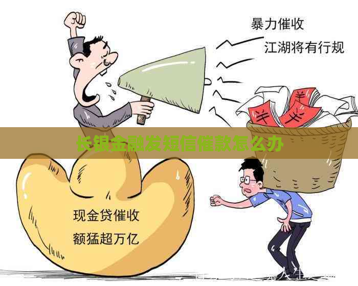 长银金融发短信催款怎么办