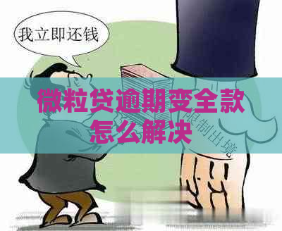 微粒贷逾期变全款怎么解决