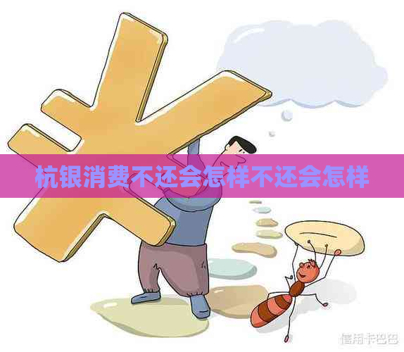 杭银消费不还会怎样不还会怎样