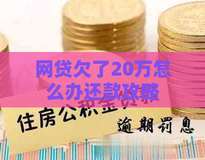 网贷欠了20万怎么办还款攻略