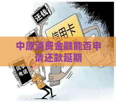 中原消费金融能否申请还款延期