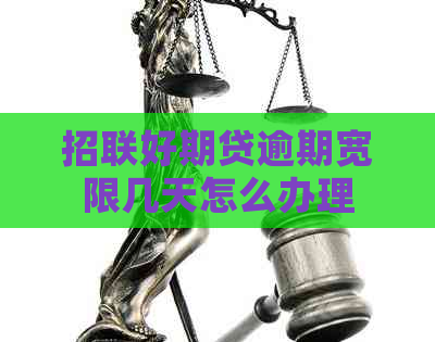 招联好期贷逾期宽限几天怎么办理