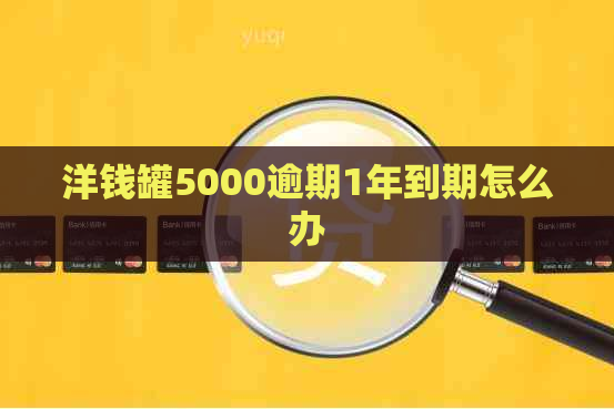 洋钱罐5000逾期1年到期怎么办