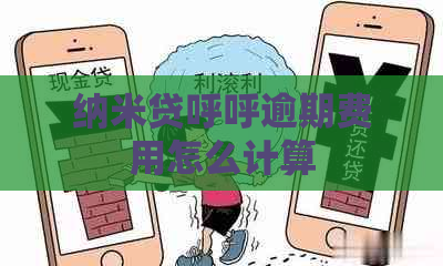 纳米贷呼呼逾期费用怎么计算