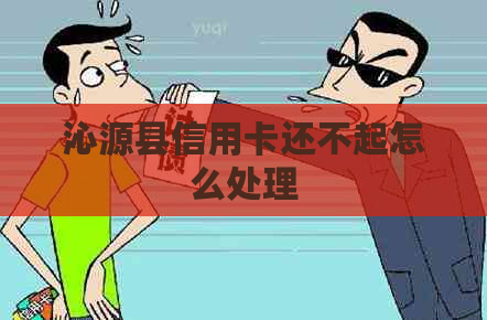 沁源县信用卡还不起怎么处理