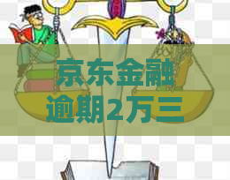 京东金融逾期2万三个月如何处理