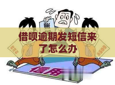 借呗逾期发短信来了怎么办