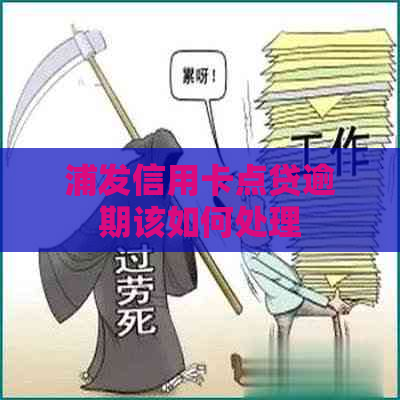 浦发信用卡点贷逾期该如何处理