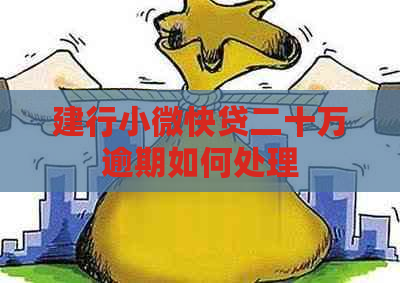 建行小微快贷二十万逾期如何处理