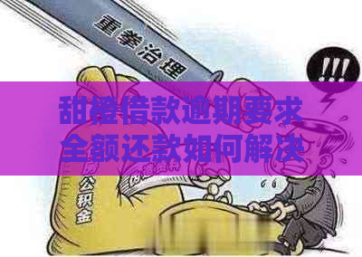 甜橙借款逾期要求全额还款如何解决