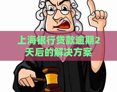 上海银行贷款逾期2天后的解决方案