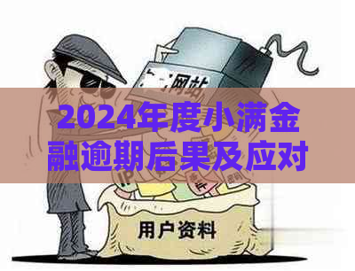 2024年度小满金融逾期后果及应对措施