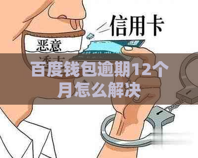 百度钱包逾期12个月怎么解决