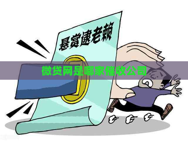 微贷网是哪家公司