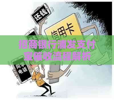 招商银行浦发支付宝流程解析