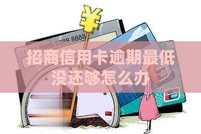 招商信用卡逾期更低没还够怎么办