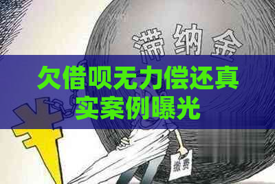 欠借呗无力偿还真实案例曝光