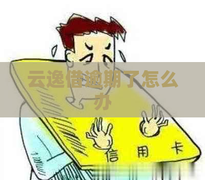 云逸借逾期了怎么办