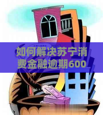 如何解决苏宁消费金融逾期6000多