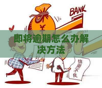 即将逾期怎么办解决方法