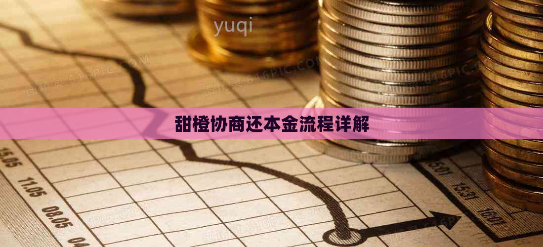 甜橙协商还本金流程详解