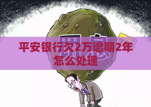 平安银行欠2万逾期2年怎么处理