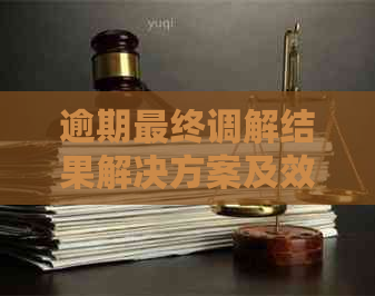 逾期最终调解结果解决方案及效果分析