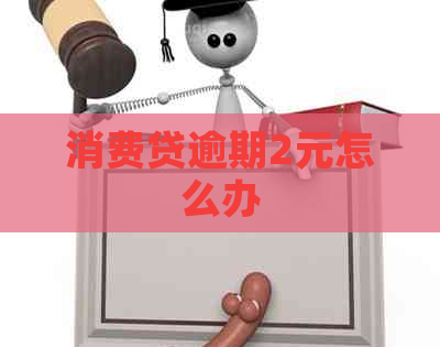 消费贷逾期2元怎么办