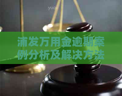 浦发万用金逾期案例分析及解决方法