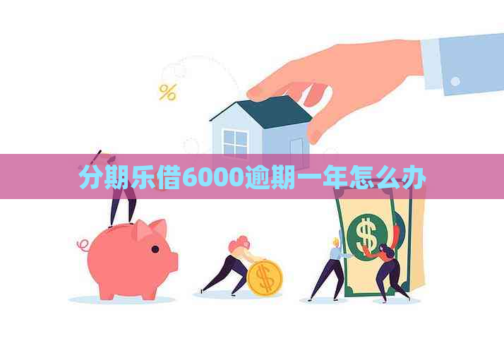 借6000逾期一年怎么办