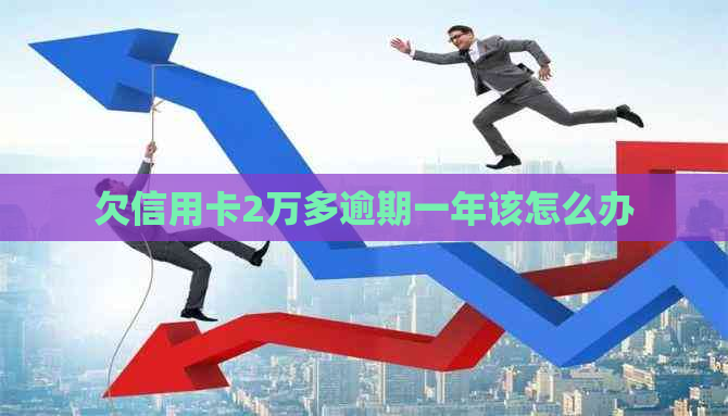 欠信用卡2万多逾期一年该怎么办