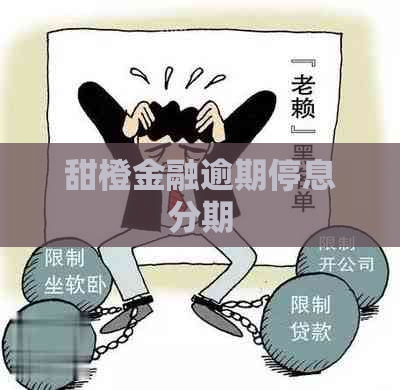 甜橙金融逾期停息分期