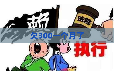 欠300一个月了