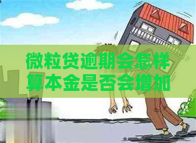 微粒贷逾期会怎样算本金是否会增加利息